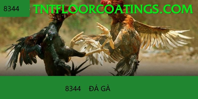 Đá Gà Trực Tiếp - vic88