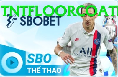 Cá Cược Thể Thao - vic88